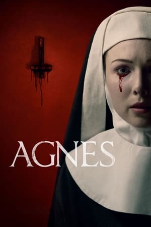 Agnes (2021) Hindi Dual Audio HDRip 720p – 480p