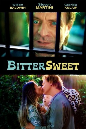 BitterSweet (2025) WEBRIP Hindi (MULTI AUDIO) 720p – 480p – 1080p