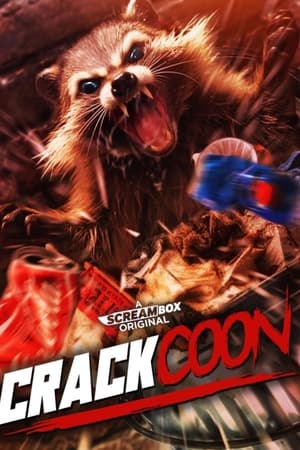 Crackcoon (2024) WEBRIP Hindi (MULTI AUDIO) 720p – 480p – 1080p