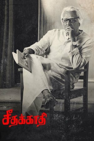 Seethakaathi (2018) Hindi Dubbed 720p HDRip [1.1GB]