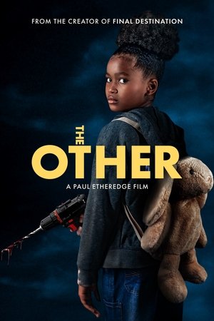 The Other (2025) WEBRIP Hindi (MULTI AUDIO) 720p – 480p – 1080p