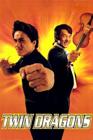 Twin Dragons 1992 [Hindi] Dual Audio BRRip 300MB