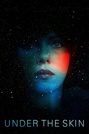 Under the Skin 2013 Hindi Dual Audio 480p BluRay 350MB